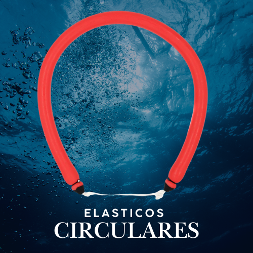 Elasticos Circulares Storm Rojos 50cm/16mm
